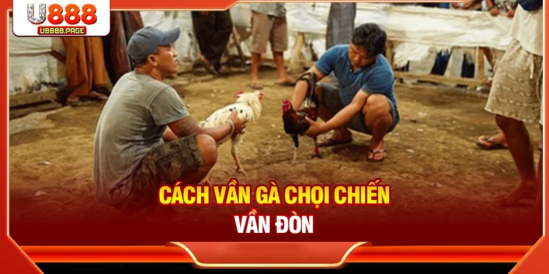 Cách vần gà chọi chiến – Vần đòn